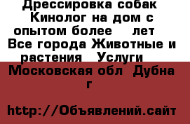 Дрессировка собак (Кинолог на дом с опытом более 10 лет) - Все города Животные и растения » Услуги   . Московская обл.,Дубна г.